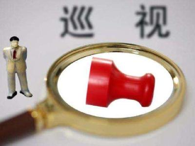 省委第五巡视组进驻猇亭区