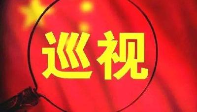 巡视公告