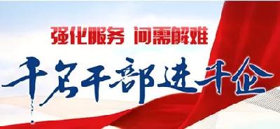 宜昌“双千”服务活动解决问题591个
