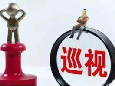 省委第十一巡视组进驻夷陵区
