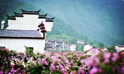 “百日攻坚”行动擦亮乡村秀色 远安百余村居变得“清新脱俗”