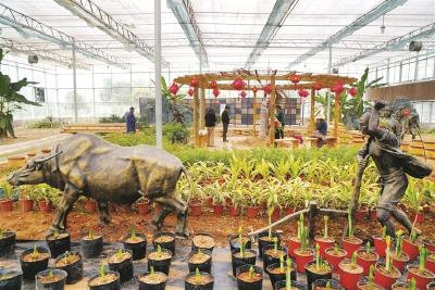 点军着力打造 “农耕文化园”