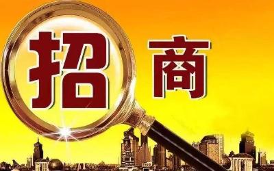湖北文化产业项目招商会举行 宜昌2个项目签约额达11亿