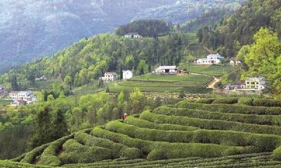 拔病根 斩穷根——五峰把“健康套餐”送到群众屋场边