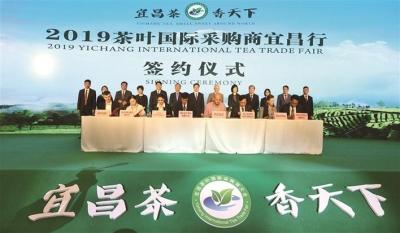2019茶叶国际采购商宜昌行活动举行