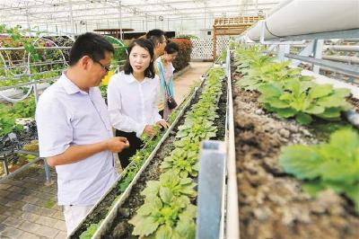 55个贫困村第一书记市农科院里寻“商机” 