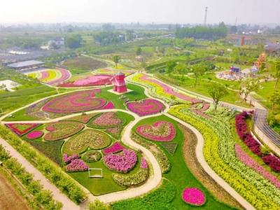 喜讯！宜昌3个乡镇各获50万元奖励