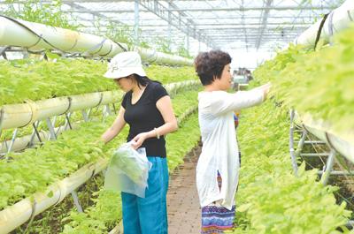 30余名宜昌新型职业农民瞄准休闲农业“取经”