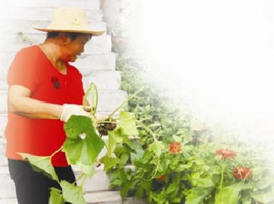 社区微改造 居民多受益