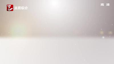 市政府召开常务会议