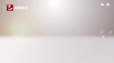 市政府召开常务会议