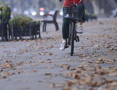 天气丨寒露迎降温 还有雨来扰 最低气温降至14℃