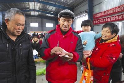 茶叶丰收 社员喜分红