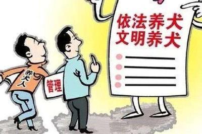 《宜昌市城区养犬管理办法》出炉