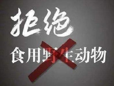 我国全面禁止非法野生动物交易  革除滥食野生动物陋习