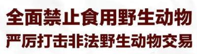 哪些野生动物禁食？这个决定给出了权威回应
