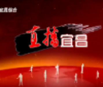 《直播宜昌》2020年4月6日