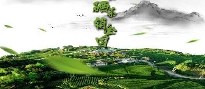 直播 | 一起见证“恩施万吨硒茶销全国”