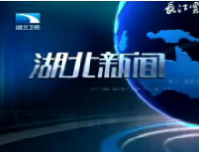 《湖北新闻》2020年4月8日