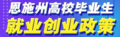 直播 | “恩施州高校毕业生就业创业政策”云上宣讲会