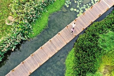 湿地保护全面推进仍面临三大掣肘