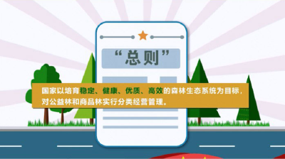 【一图读懂】新修订的《森林法》有哪些变化？
