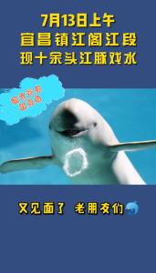 又见面了，老朋友们（宜昌发布抖音）
