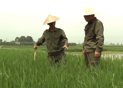 国家植物保护枝江观测实验站获农业农村部立项