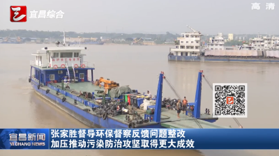 张家胜督导环保督察反馈问题整改