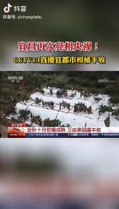 宜昌再次亮相央视