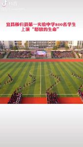 宜昌800名学生上演大型团体操（三峡日报抖音）