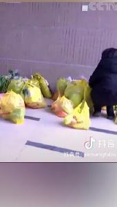 2020央视看宜昌（宜昌发布抖音）
