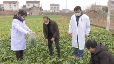 宜昌市持续加大农产品安全检测力度