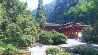 省人大代表刘兴红：打造特色农业产品产业链