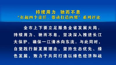 评论：持续用力 驰而不息