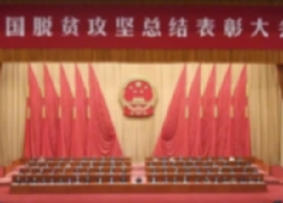 宜昌这些个人，集体获得表彰