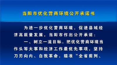 全力推动营商环境水平实现整体性跃升