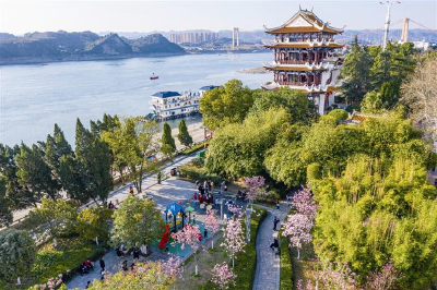 牛年春来早 市民乐赏花
