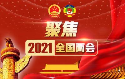 十三届全国人大四次会议开幕会