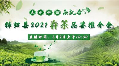 秭归融媒直播丨春到秭归茶飘香