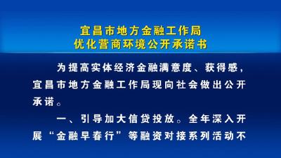 宜昌市地方金融工作局优化营商环境公开承诺书