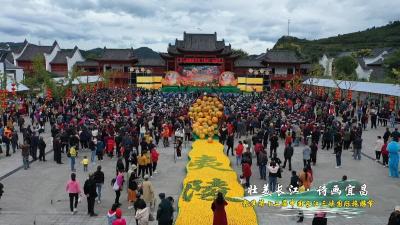 第八届湖北宜昌（夷陵）柑橘节开幕