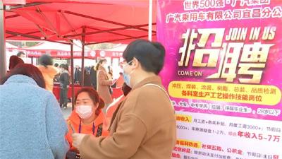 宜昌：人才密度逐年上升 人才供需快速增长