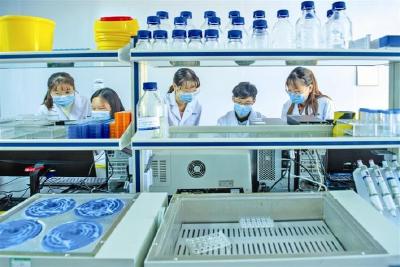 高新腾飞风正劲——看宜昌高新区产业集群破冰突围