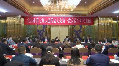 张桂华参加当阳代表团审议