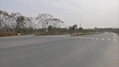 刘丰雷调研峡州大道三期线形规划等工作