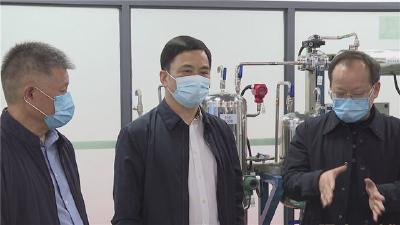 马泽江专题调研科技创新工作