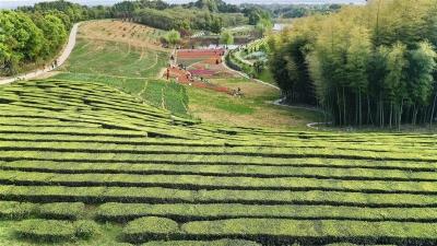 第六届青龙山文化节开幕