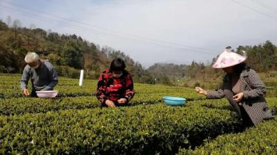 聚焦“小切口” 助推“大民生” 宜都人大代表走进“湾落”解难题