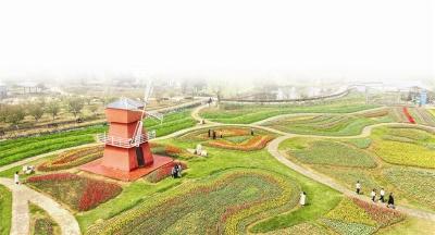 让“赏花经济”常开常新——来自赏花一线的样本分析报告